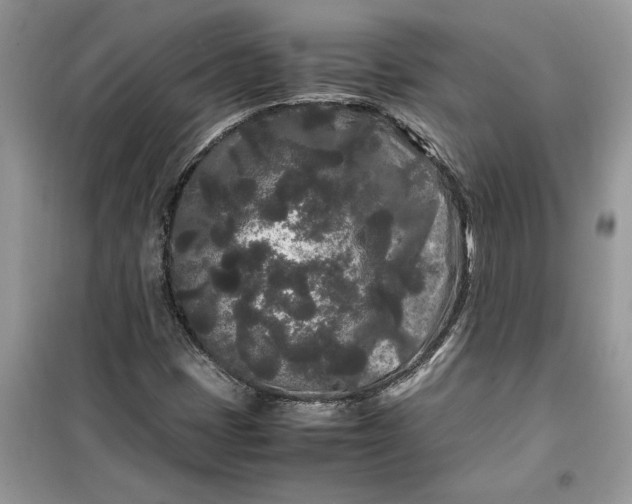 X0000099491401200805291056
