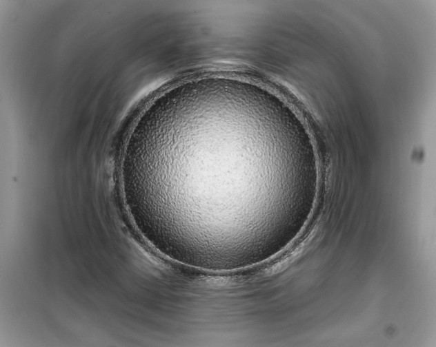 X0000099491402200805291056
