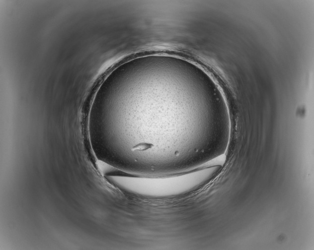 X0000099491404200805291056