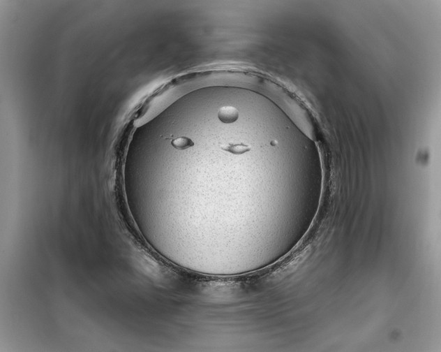X0000099491406200805291056