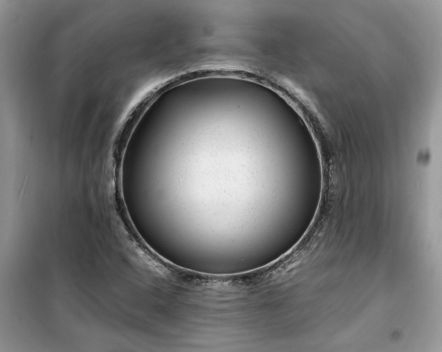 X0000099491408200805291056