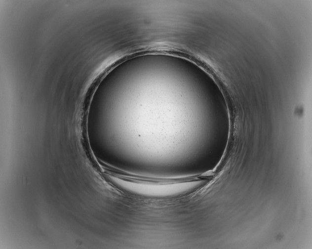 X0000099491410200805291057