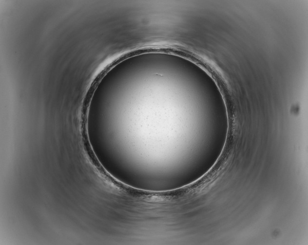 X0000099491412200805291057