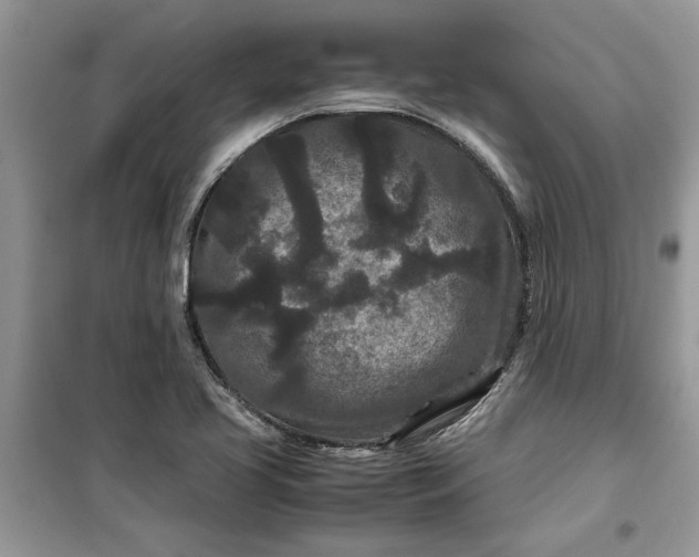 X0000099491413200805291057