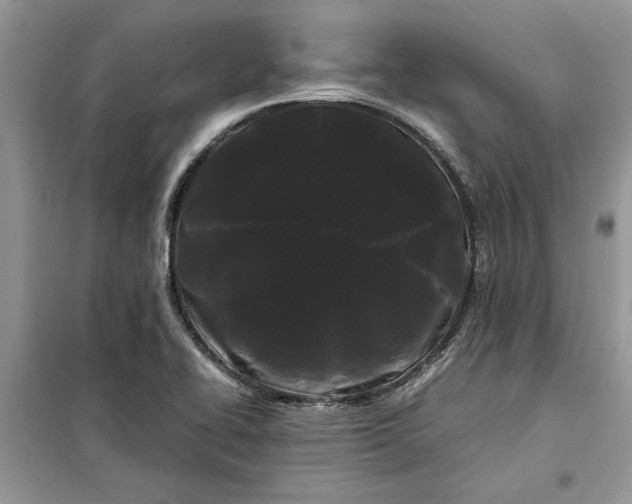 X0000099491414200805291057