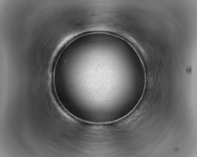 X0000099491416200805291057