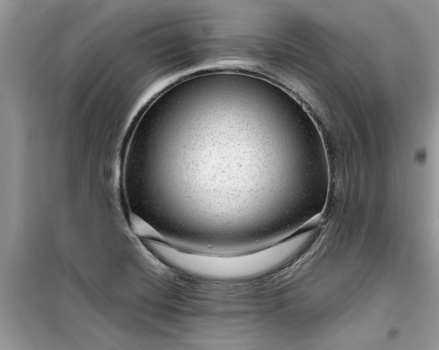 X0000099491420200805291057
