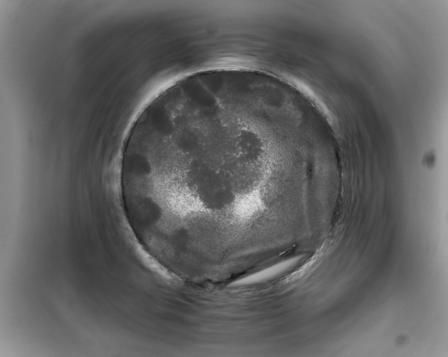 X0000099491421200805291057