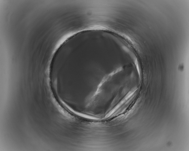 X0000099491422200805291057