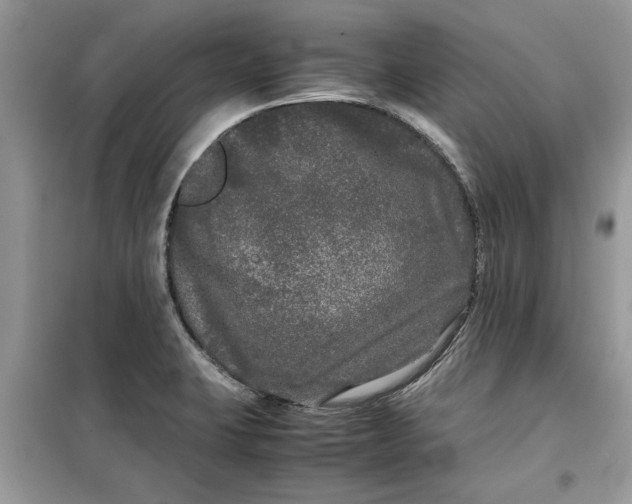 X0000099491423200805291057