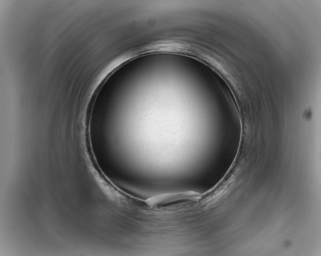 X0000099491426200805291057