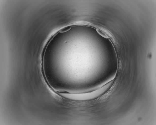 X0000099491430200805291057