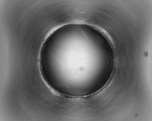 X0000099491432200805291057