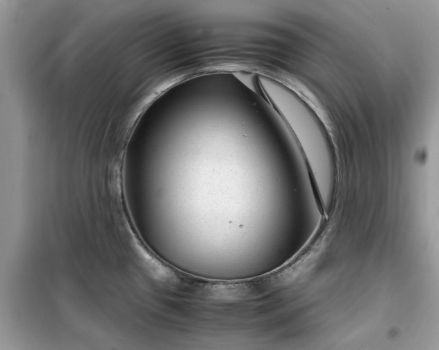 X0000099491433200805291057