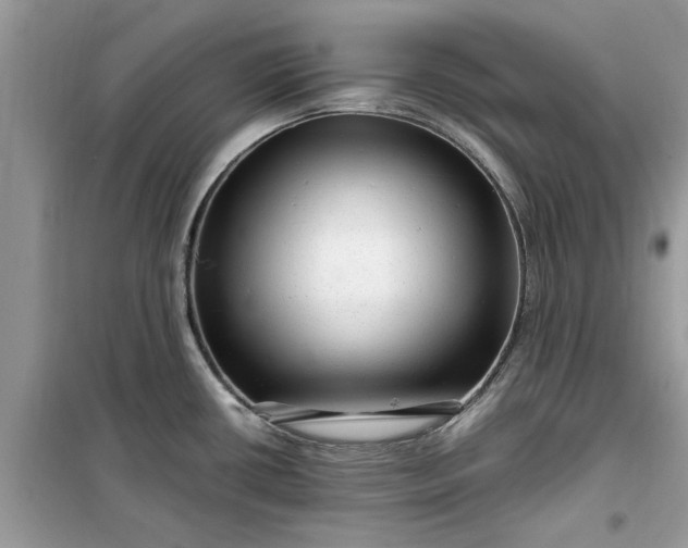 X0000099491434200805291057