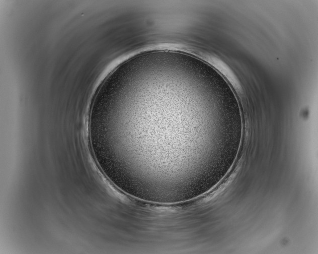 X0000099491436200805291057