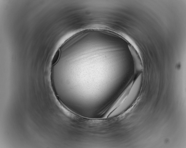 X0000099491437200805291057