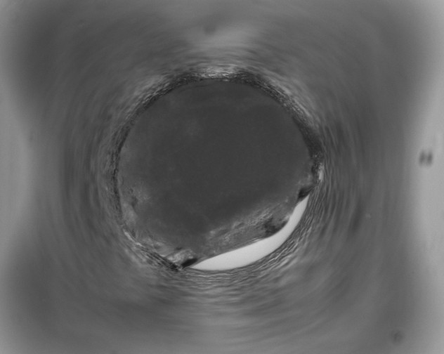 X0000099491441200805291056