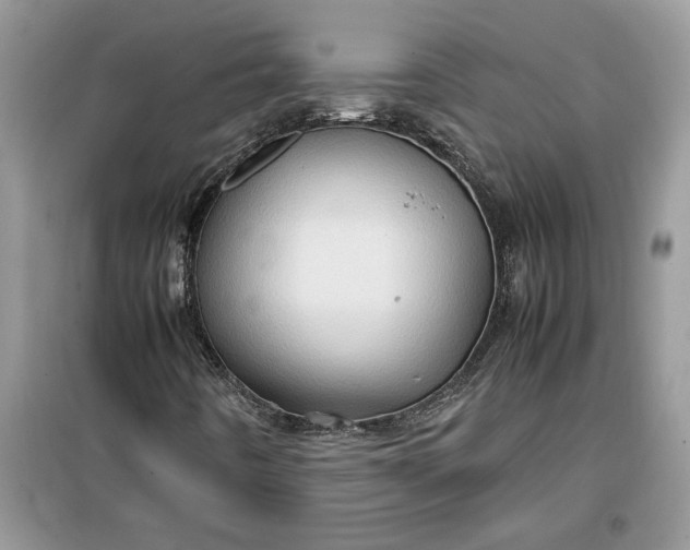 X0000099491442200805291056