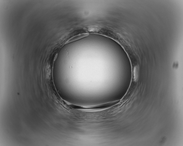 X0000099491443200805291056