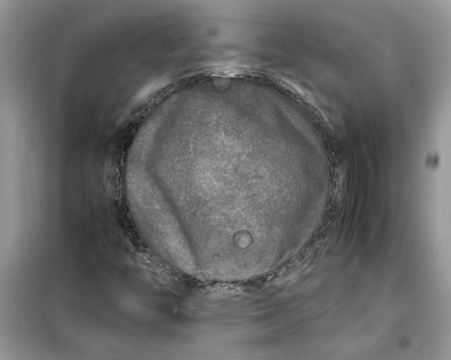 X0000099491446200805291056