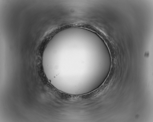 X0000099491447200805291056