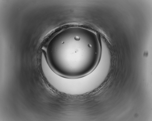 X0000099491448200805291056