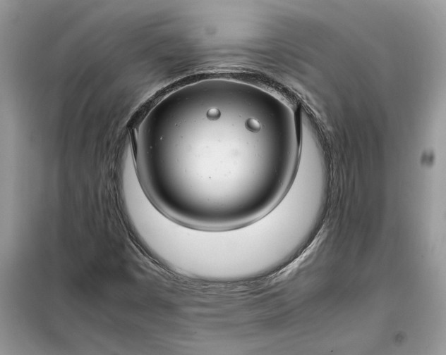 X0000099491449200805291056