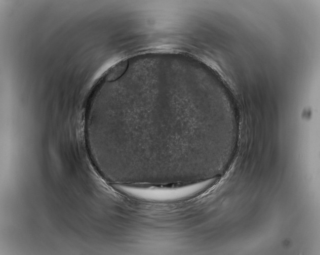 X0000099491450200805291056
