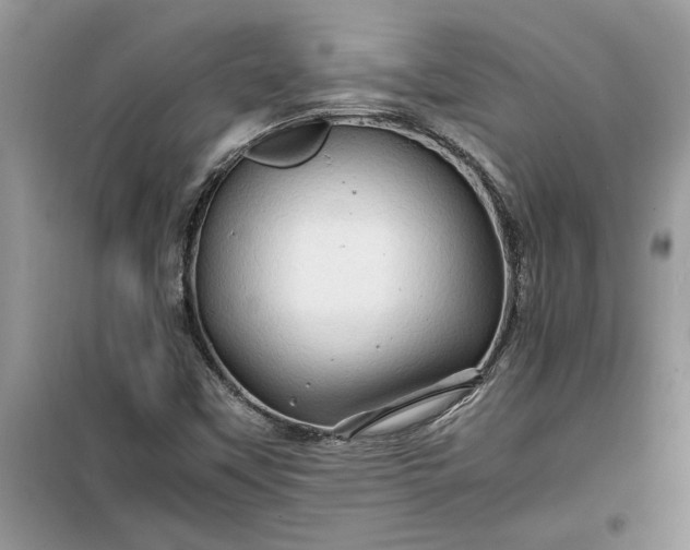 X0000099491451200805291056