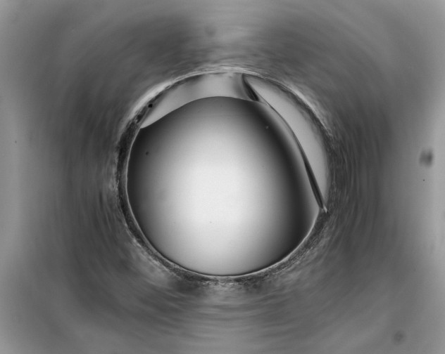 X0000099491452200805291056