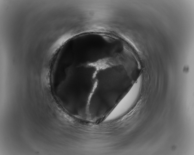 X0000099491455200805291056