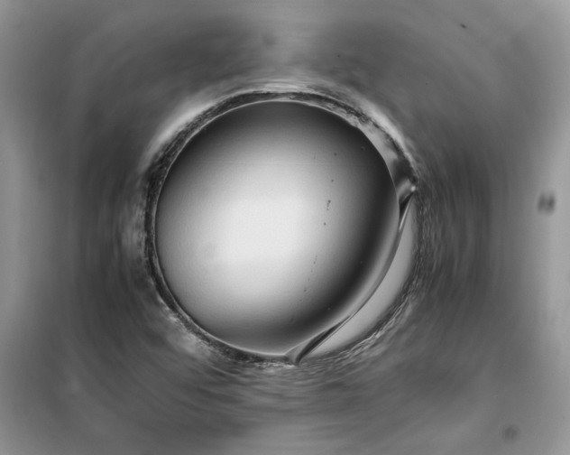 X0000099491456200805291056