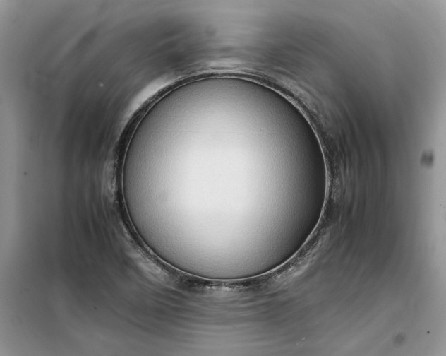 X0000099491458200805291056