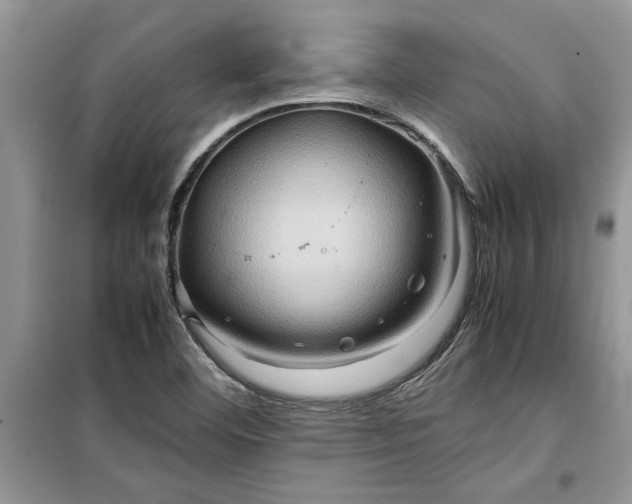 X0000099491460200805291056