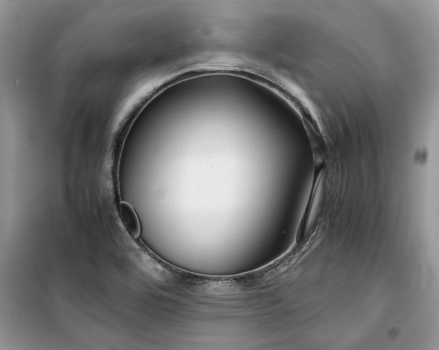 X0000099491464200805291056