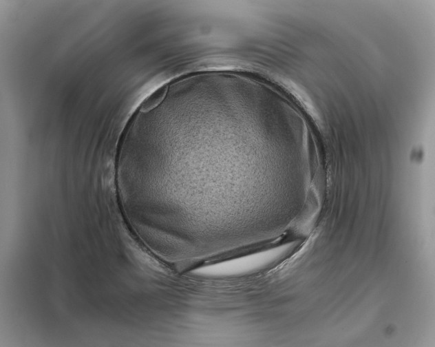 X0000099491465200805291056