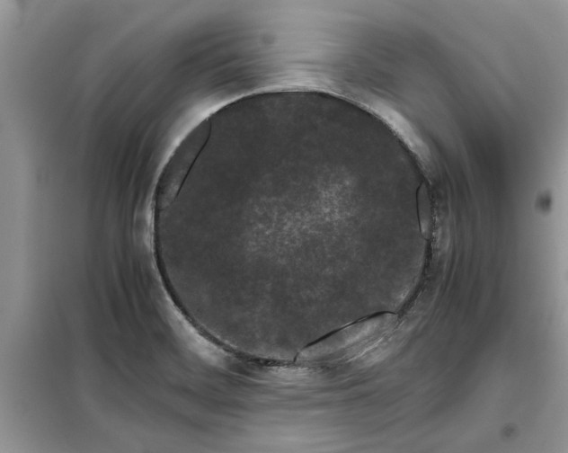 X0000099491468200805291056