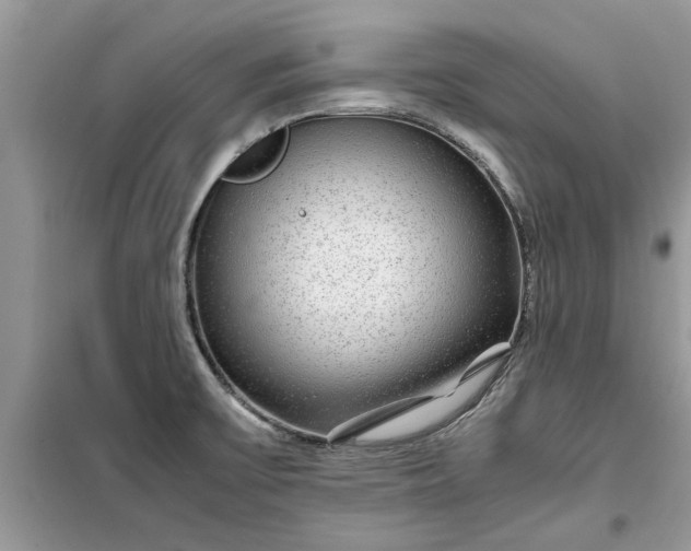 X0000099491475200805291056