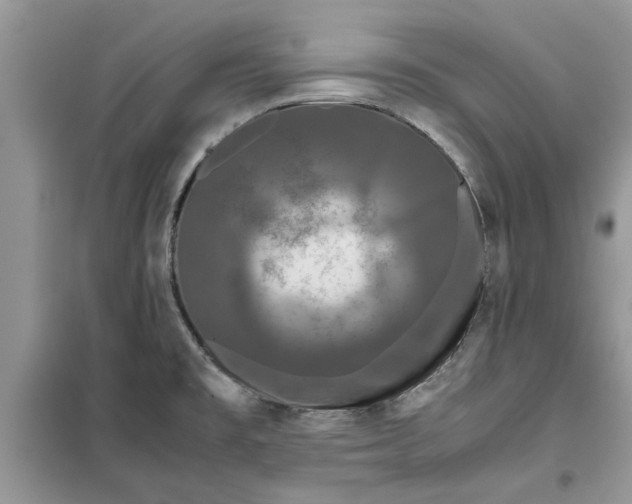 X0000099491477200805291056