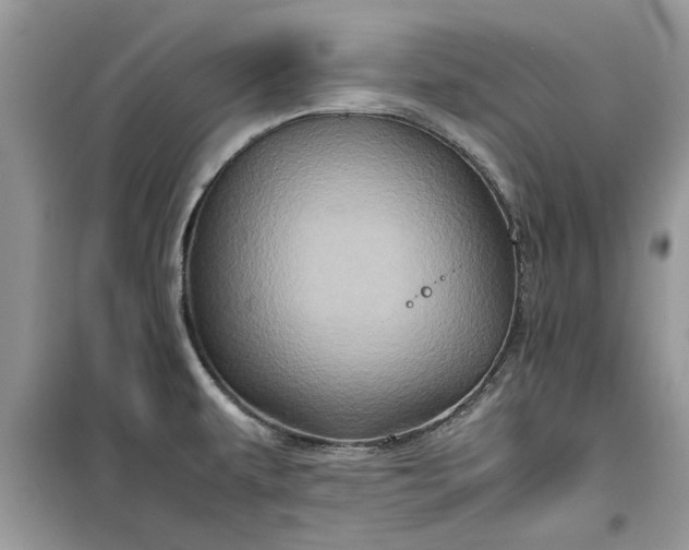 X0000099491479200805291056