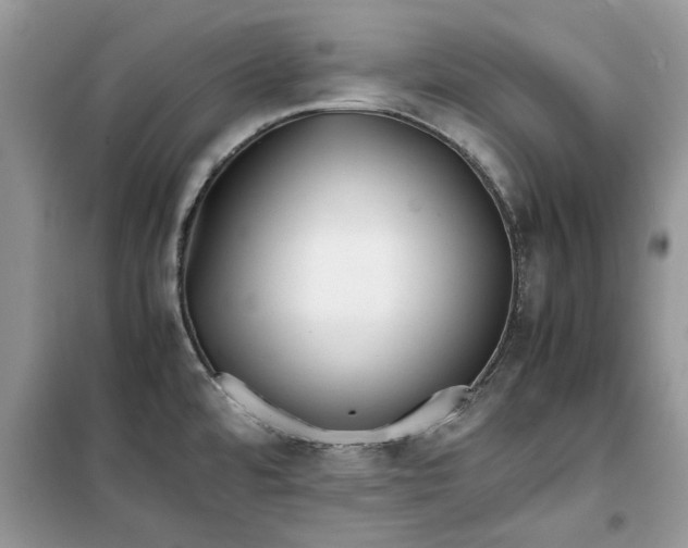 X0000099491480200805291056