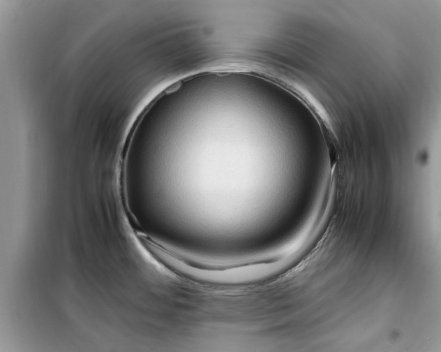 X0000099491484200805291056
