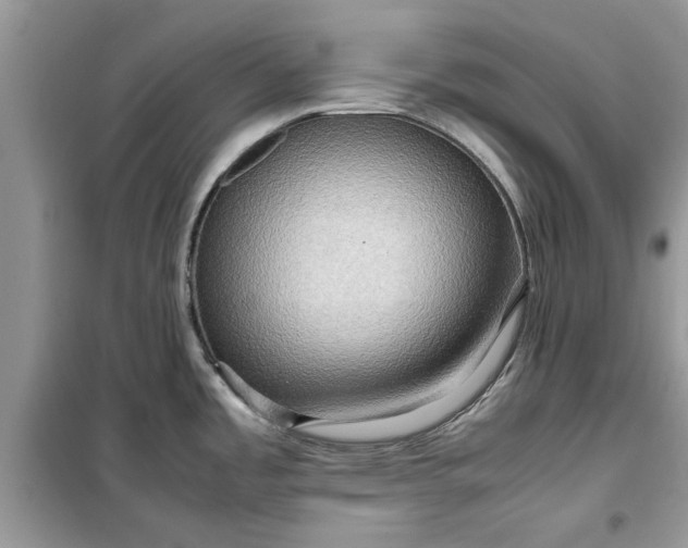 X0000099491485200805291056