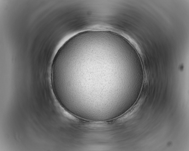 X0000099491486200805291056