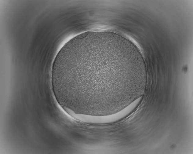 X0000099491487200805291056