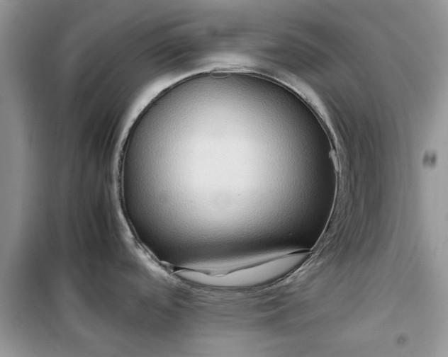 X0000099491488200805291056