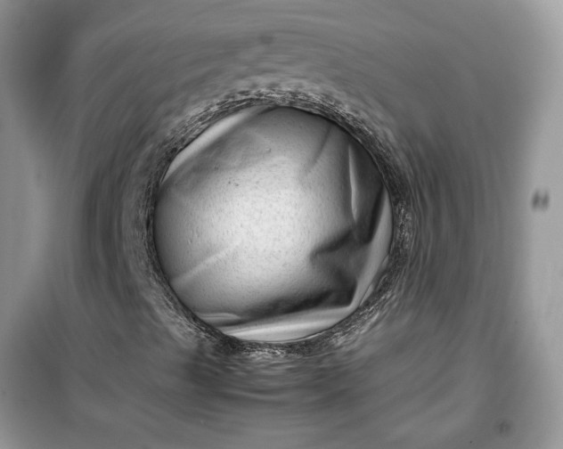 X0000099491489200805291055
