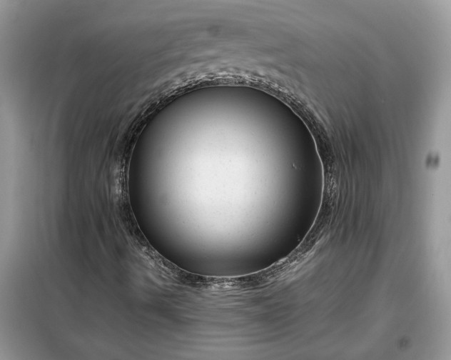 X0000099491490200805291055