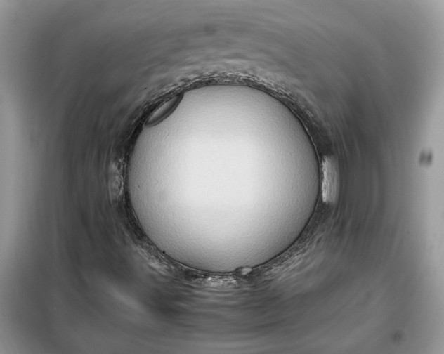 X0000099491491200805291055